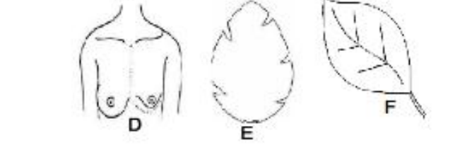 Figure from the b4 mathematics curriculum, printed page 36