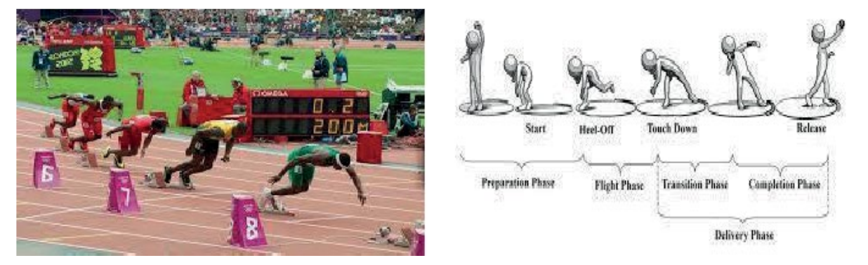 Figure from the jhs1 physical education and health curriculum, printed page 14