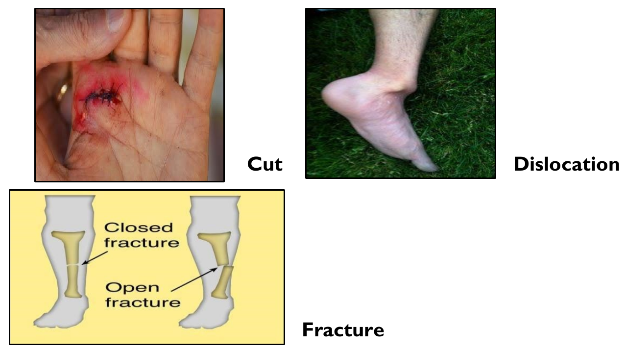Figure from the jhs1 physical education and health curriculum, printed page 4
