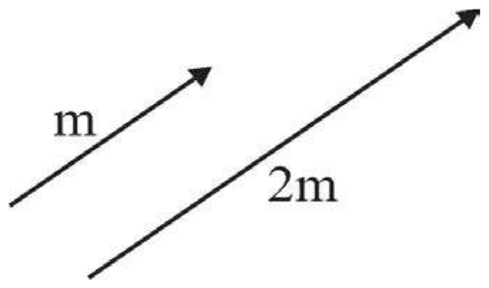 Figure from the shs1 additional mathematics curriculum, printed page 159