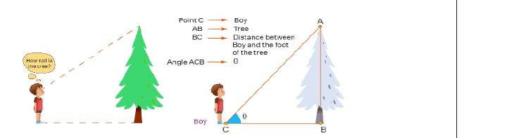Figure from the shs1 mathematics curriculum, printed page 117